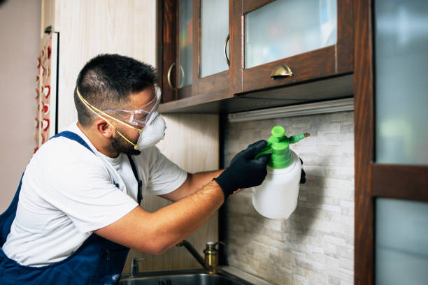 Professional Pest Control in Cross Lanes, WV