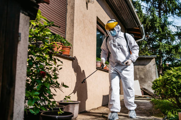 Best Termite Control Services  in Cross Lanes, WV