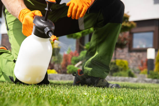 Best Exterminator Services  in Cross Lanes, WV