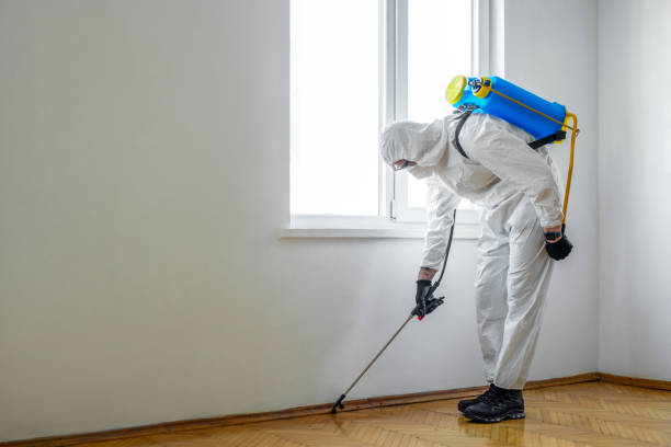 Best Pest Removal Services  in Cross Lanes, WV