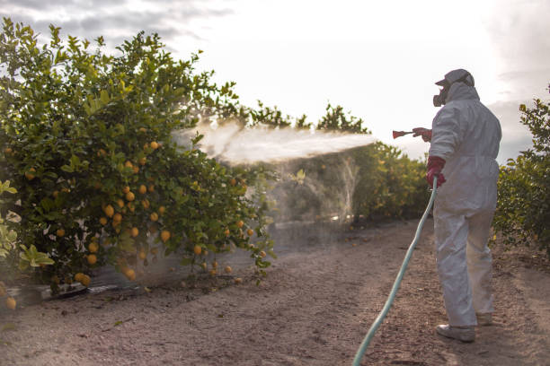 Best Pest Control Near Me in Cross Lanes, WV