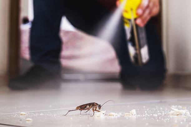 Best Emergency Pest Control  in Cross Lanes, WV