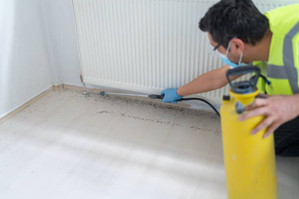 Best Ant Control Services  in Cross Lanes, WV